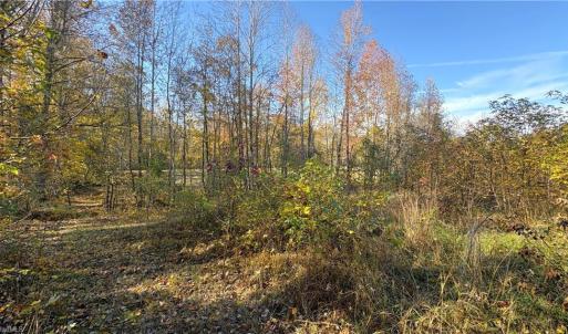Photo #12 of 3.1 AC +/- Long Valley, Greensboro, NC 3.1 acres