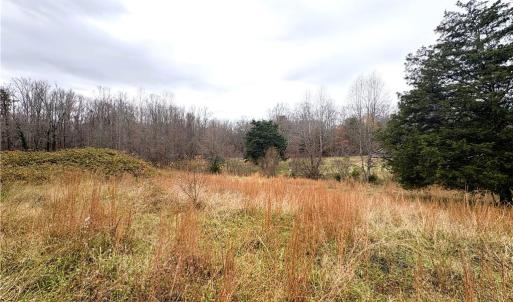 Photo #20 of 3.1 AC +/- Long Valley, Greensboro, NC 3.1 acres