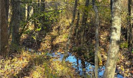 Photo #10 of 3.1 AC +/- Long Valley, Greensboro, NC 3.1 acres