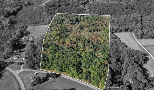 Photo #23 of Lot 2 Joe Cobb, Ruffin, NC 29.5 acres