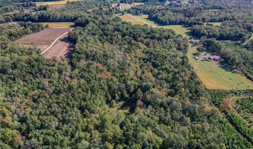 Photo #27 of Lot 2 Joe Cobb, Ruffin, NC 29.5 acres