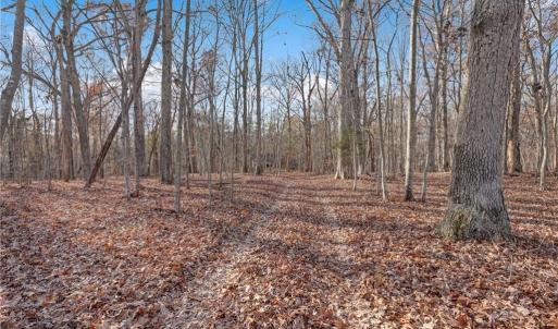 Photo #17 of Lot 2 Joe Cobb, Ruffin, NC 29.5 acres