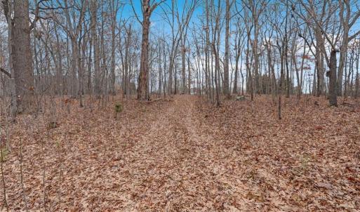 Photo #16 of Lot 2 Joe Cobb, Ruffin, NC 29.5 acres