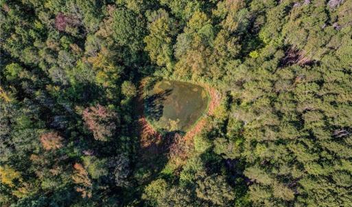 Photo #26 of Lot 2 Joe Cobb, Ruffin, NC 29.5 acres