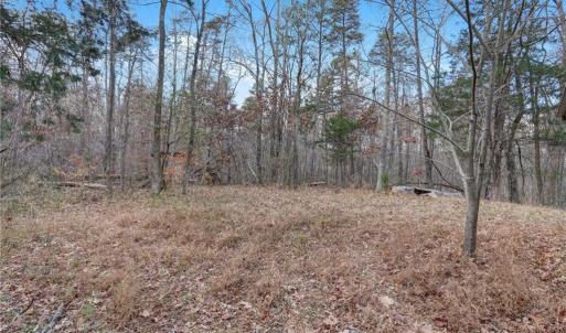 Photo #22 of Lot 2 Joe Cobb, Ruffin, NC 29.5 acres