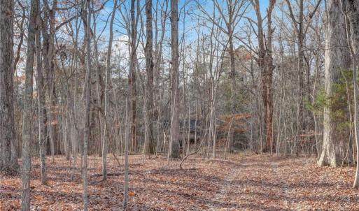 Photo #20 of Lot 2 Joe Cobb, Ruffin, NC 29.5 acres