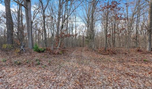 Photo #18 of Lot 2 Joe Cobb, Ruffin, NC 29.5 acres