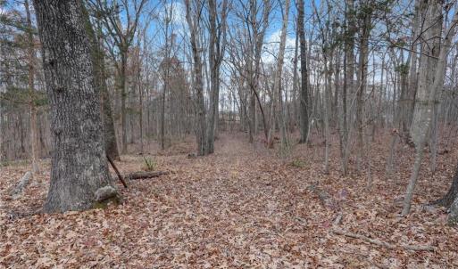 Photo #21 of Lot 2 Joe Cobb, Ruffin, NC 29.5 acres
