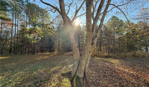Photo #5 of 277 Riverhills, Rockingham, NC 2.0 acres