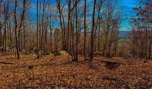 Photo #17 of 1644 Sierra Trace, Denton, NC 5.3 acres