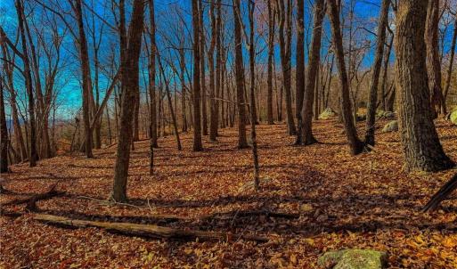 Photo #16 of 1644 Sierra Trace, Denton, NC 5.3 acres