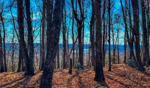 Photo #14 of 1644 Sierra Trace, Denton, NC 5.3 acres