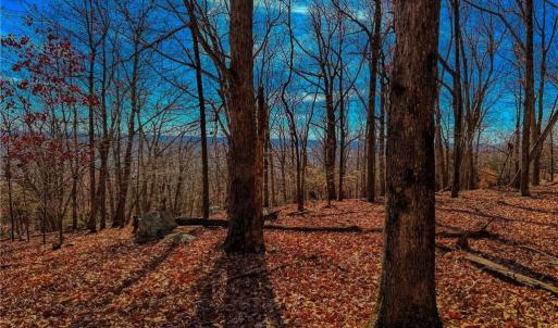 Photo #15 of 1644 Sierra Trace, Denton, NC 5.3 acres