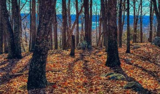 Photo #11 of 1644 Sierra Trace, Denton, NC 5.3 acres