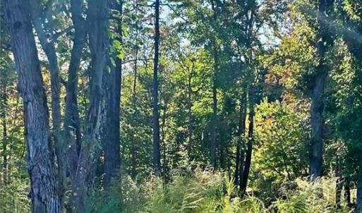 Photo #6 of 1901 Carver, Roxboro, NC 8.9 acres