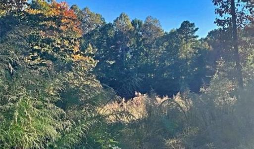 Photo #7 of 1901 Carver, Roxboro, NC 8.9 acres