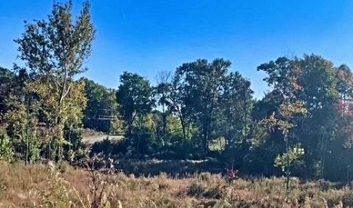 Photo #9 of 1901 Carver, Roxboro, NC 8.9 acres