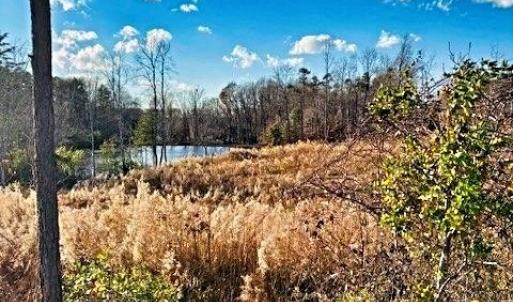 Photo #8 of 1901 Carver, Roxboro, NC 8.9 acres