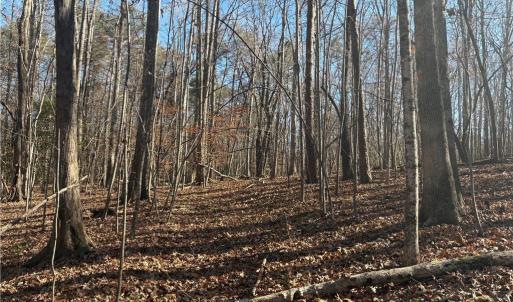 Photo #23 of 3131 Zz Huffine Mill, Gibsonville, NC 29.4 acres