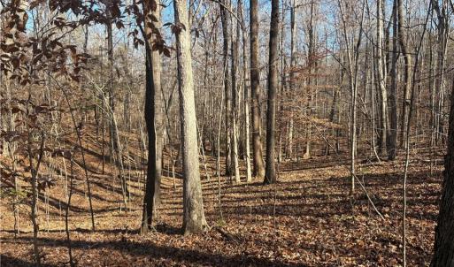 Photo #13 of 3131 Zz Huffine Mill, Gibsonville, NC 29.4 acres