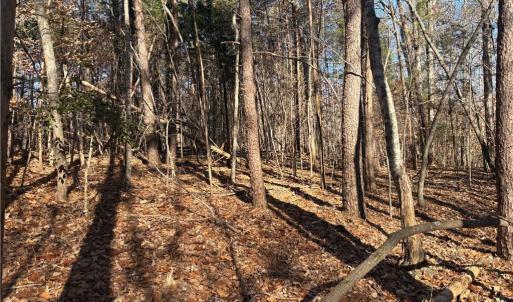 Photo #17 of 3131 Zz Huffine Mill, Gibsonville, NC 29.4 acres