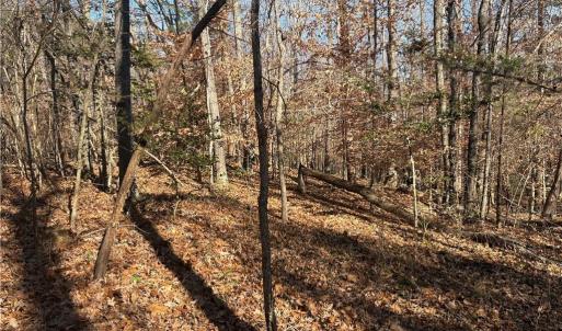 Photo #20 of 3131 Zz Huffine Mill, Gibsonville, NC 29.4 acres