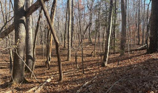 Photo #9 of 3131 Zz Huffine Mill, Gibsonville, NC 29.4 acres