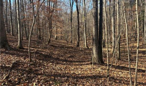 Photo #24 of 3131 Zz Huffine Mill, Gibsonville, NC 29.4 acres