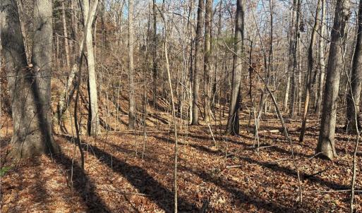 Photo #10 of 3131 Zz Huffine Mill, Gibsonville, NC 29.4 acres