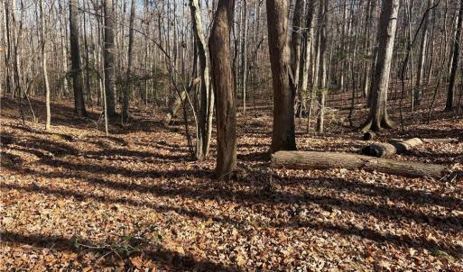 Photo #14 of 3131 Zz Huffine Mill, Gibsonville, NC 29.4 acres