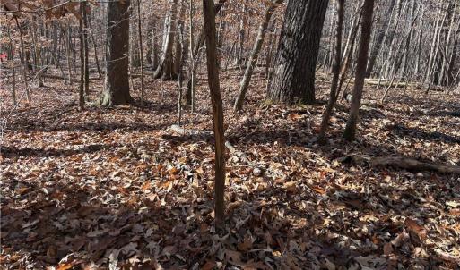 Photo #18 of 3131 Zz Huffine Mill, Gibsonville, NC 29.4 acres