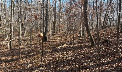 Photo #15 of 3131 Zz Huffine Mill, Gibsonville, NC 29.4 acres