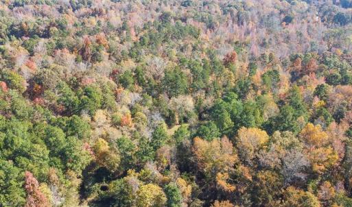 Photo #12 of 5509,5505,5505zz, 5509zz, DRAKE, Greensboro, NC 20.3 acres