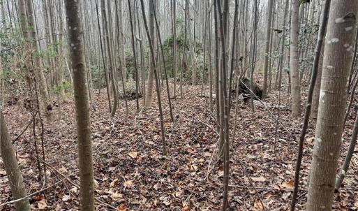 Photo #6 of Dover Church, Seagrove, NC 29.2 acres