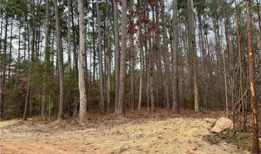 Photo #13 of Dover Church, Seagrove, NC 29.2 acres