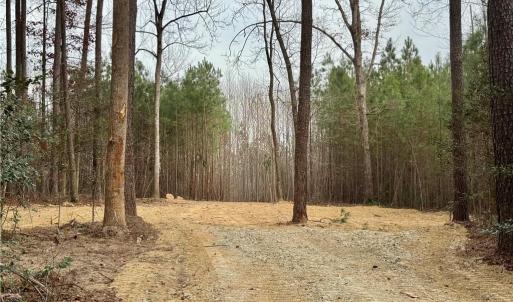 Photo #1 of Dover Church, Seagrove, NC 29.2 acres