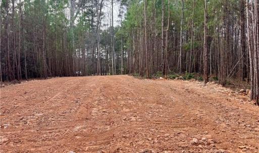 Photo #14 of Dover Church, Seagrove, NC 29.2 acres