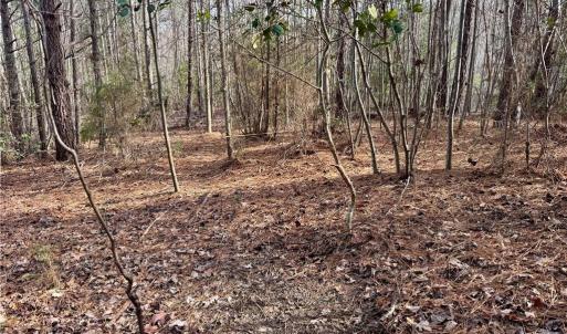 Photo #23 of Dover Church, Seagrove, NC 29.2 acres