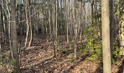 Photo #27 of Dover Church, Seagrove, NC 29.2 acres