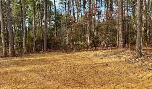 Photo #13 of Dover Church, Seagrove, NC 29.2 acres
