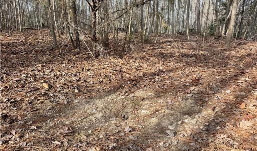 Photo #17 of Dover Church, Seagrove, NC 29.2 acres