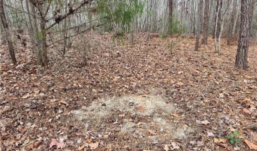Photo #12 of Dover Church, Seagrove, NC 29.2 acres