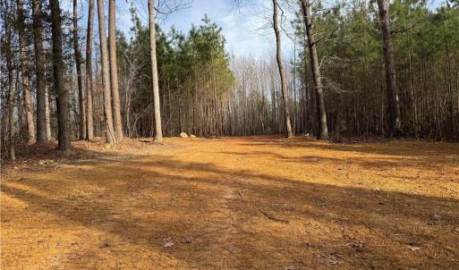 Photo #22 of Dover Church, Seagrove, NC 29.2 acres