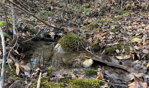 spring located on property