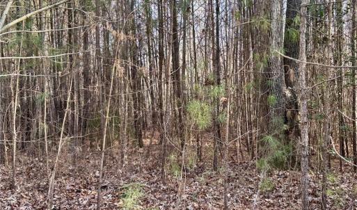 Photo #28 of Dover Church, Seagrove, NC 29.2 acres