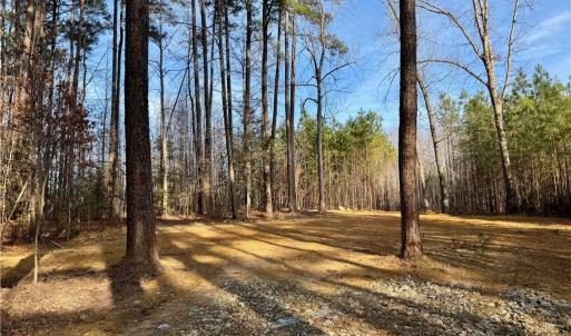 Homesite has been cleared and a perk location has been established