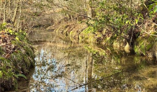 tranquil creek crossing the property