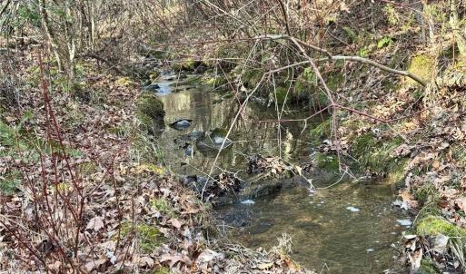 Photo #18 of Dover Church, Seagrove, NC 29.2 acres