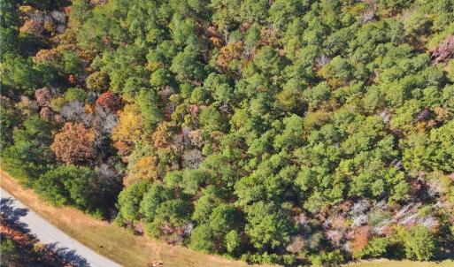 Photo #4 of 193 State, Rockingham, NC 3.7 acres