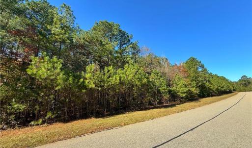 Photo #9 of 193 State, Rockingham, NC 3.7 acres